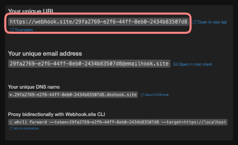 Screenshot: Webhook.site target creation interface